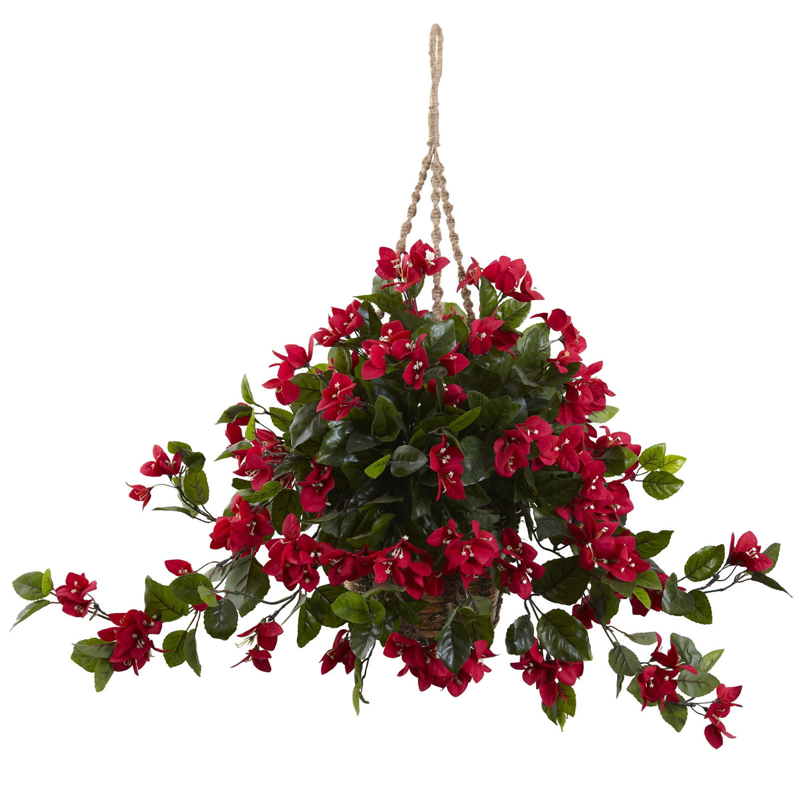 UV Resistant Bougainvillea Hanging Basket, Red