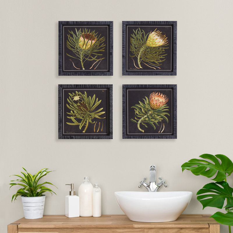 Pinar Protea Petite Black Background Prints, Set of 4