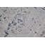 Tapis gris Finck-998393470