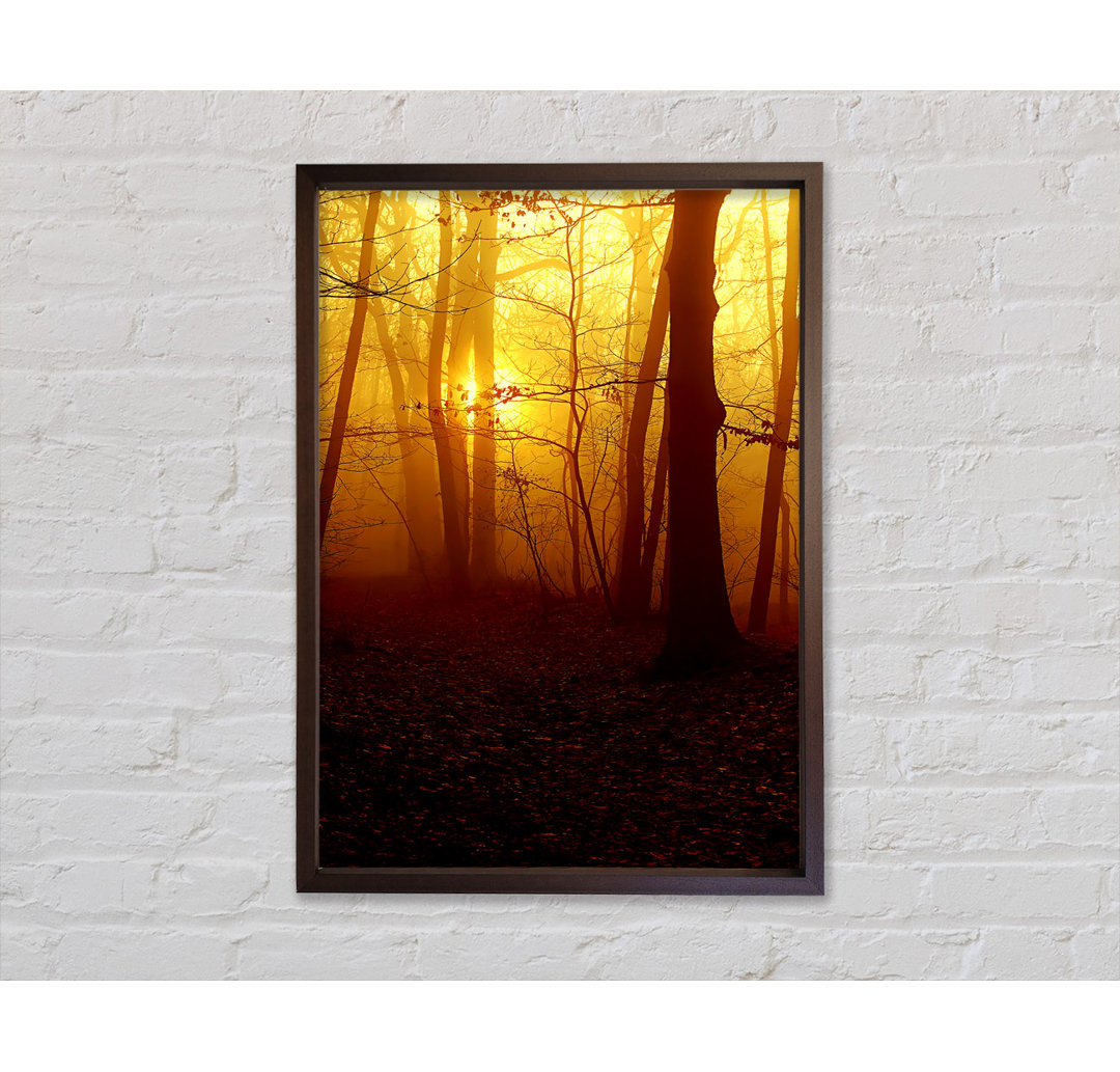 Golden Forest At First Light - Einzelner Bilderrahmen Kunstdrucke auf Leinwand