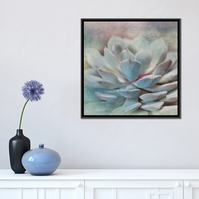 «Pastel Succulent I», impression sur toile, H 18 po x l 18 po x P 1,5 po, Toile avec cadre noir, Pas de tapis