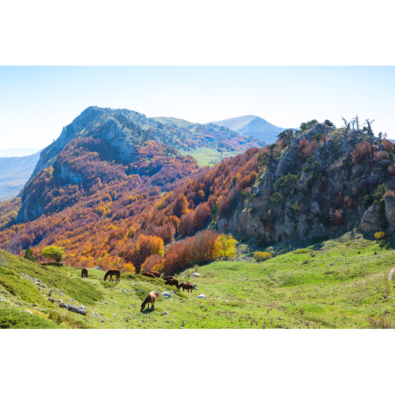 Pollino National Park by Antonel - Wrapped Canvas Print, 61cm H x 91cm W