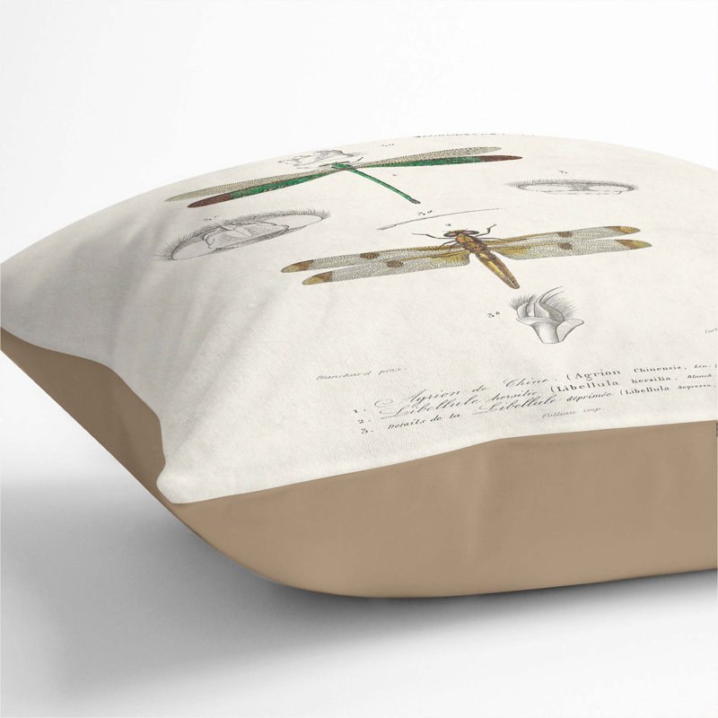 Dragonfly Illustrations PL. L Square Throw Cushion, Stone, 55cm H x 55cm W x 20cm D