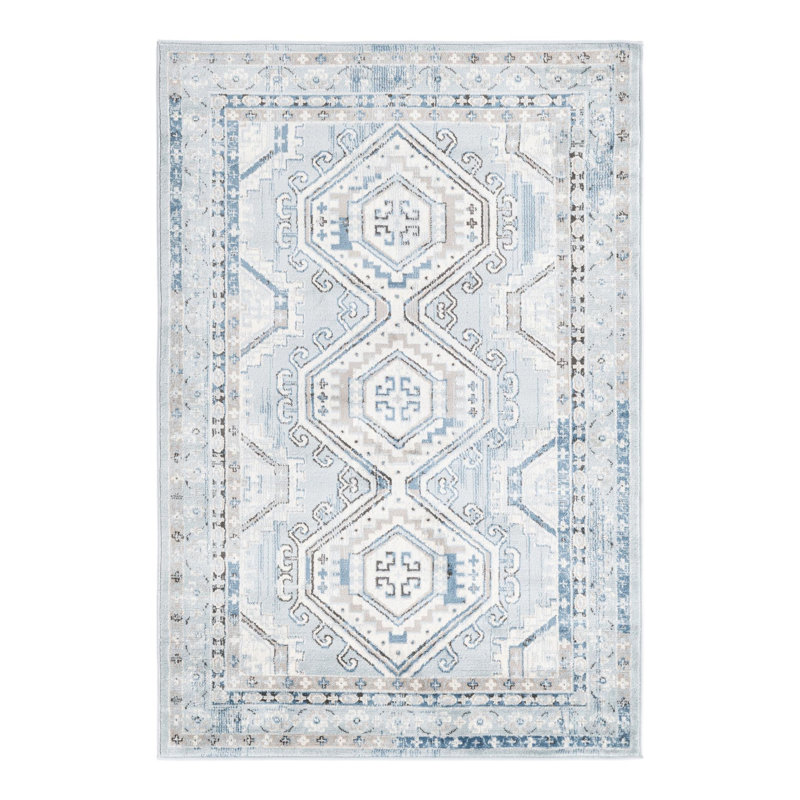 Charlotte Oriental Indoor Rug, Rectangle 4'1" x 6'1"
