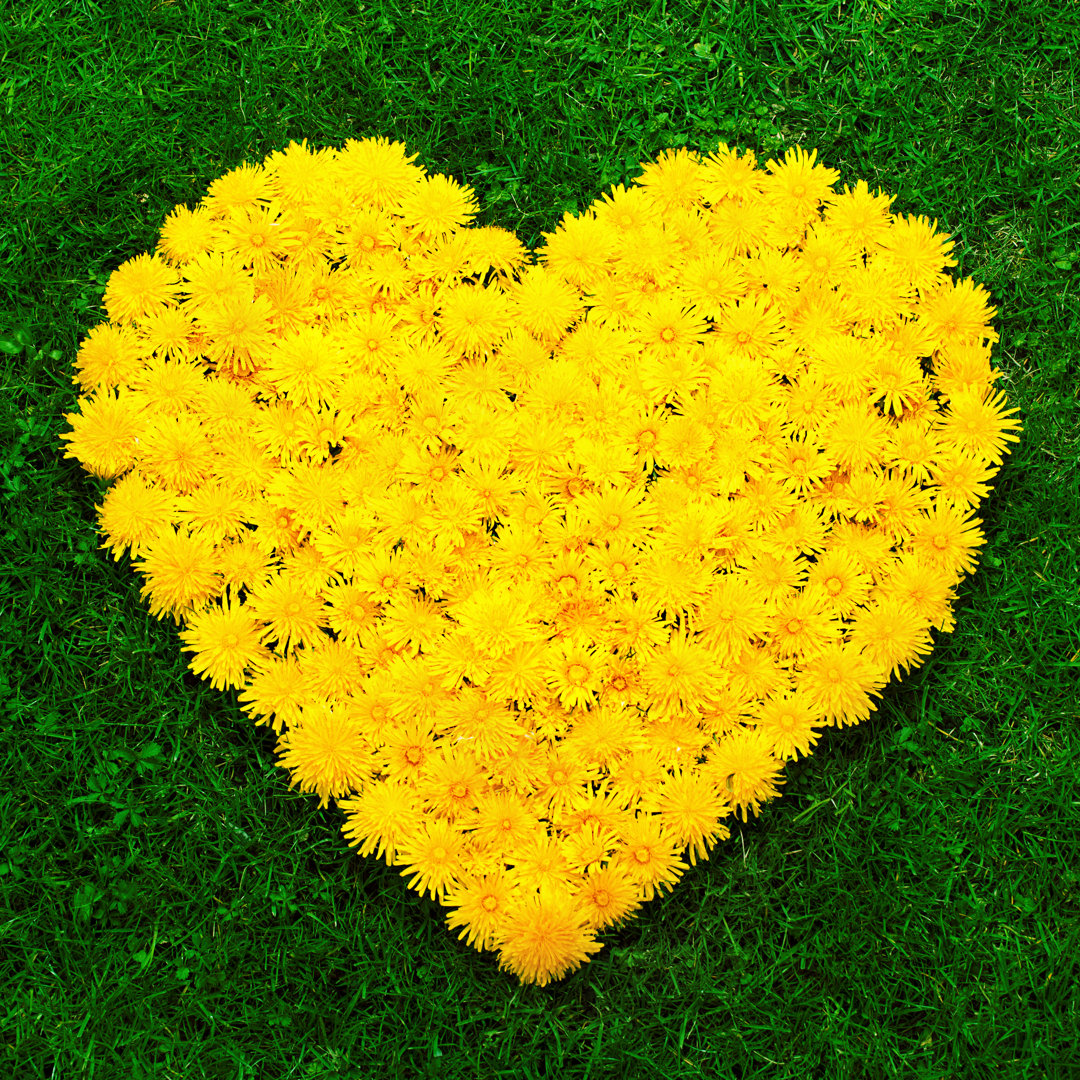 Flower Heart von CactuSoup - Leinwandbild