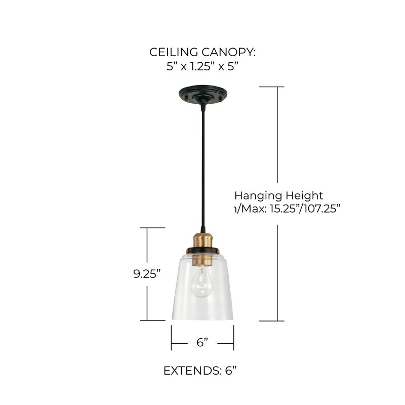 Janelle 1 - Light Single Pendant, Matte Black/Aged Brass