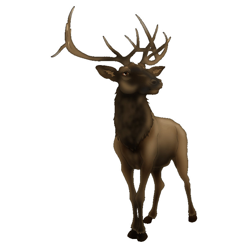 Décalcomanie murale elk, H 60 po x l 37 po