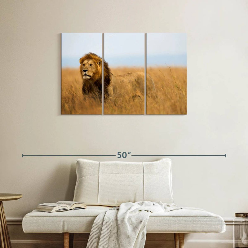 Lion Brampt chassant en safari, H 24 po x l 38 po