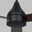 Ceiling Fan with LED Lights-211481074-220343687