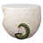 Junior Jurassic T-Rex Dinosaur Table