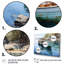 Bateau ancré III - impression-1810252885-1720847081