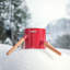 Family Live Tree Stand-91464967-63765623