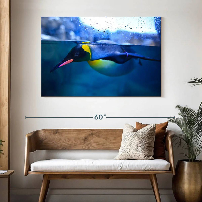 Brampt Penguin Swimming