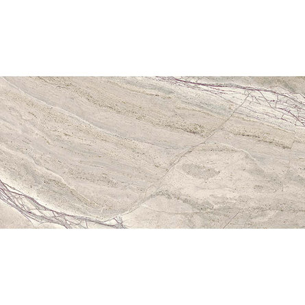 Splendour 11.81'' W x 23.62'' L Porcelain Singular Tile