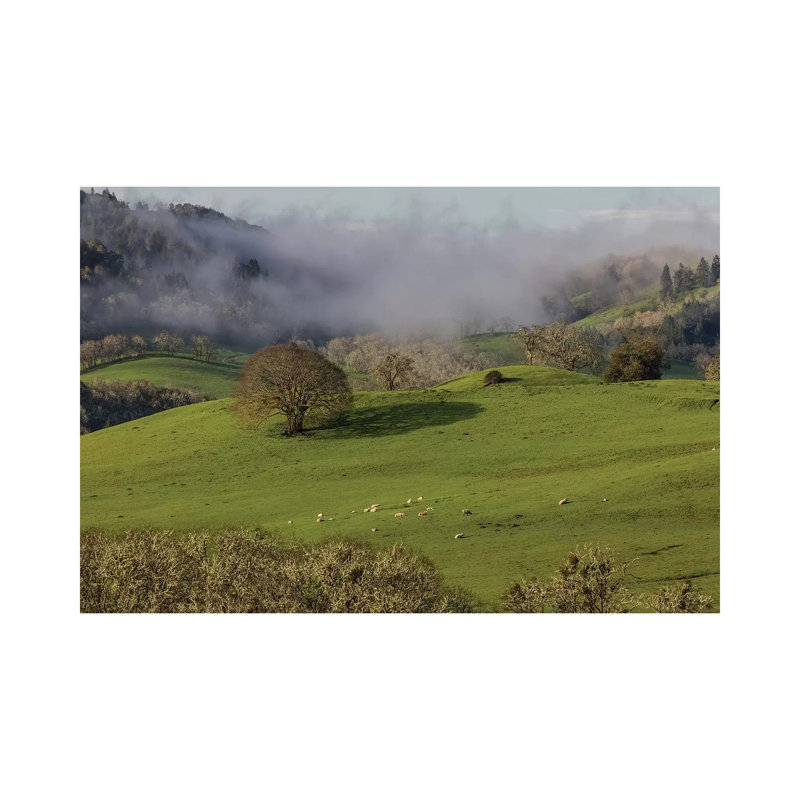 USA, Oregon, Whistler's Bend County Park. Overview Of Sheep In Pasture. by Jaynes Gallery - Wrapped Canvas Gallery-Wrapped Canvas Giclée