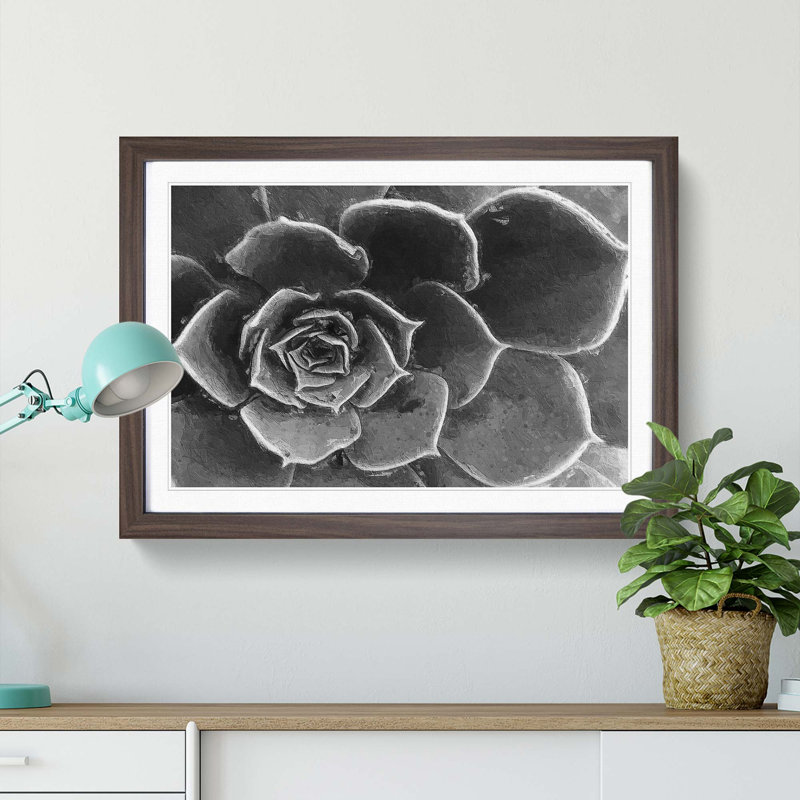 Succulent Plant - Picture Frame Painting Print, 27cm H x 36cm W x 2cm D, Walnut Framed