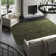 Avey Indoor Rug