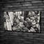New York Bird Flight - No Frame Print on Canvas