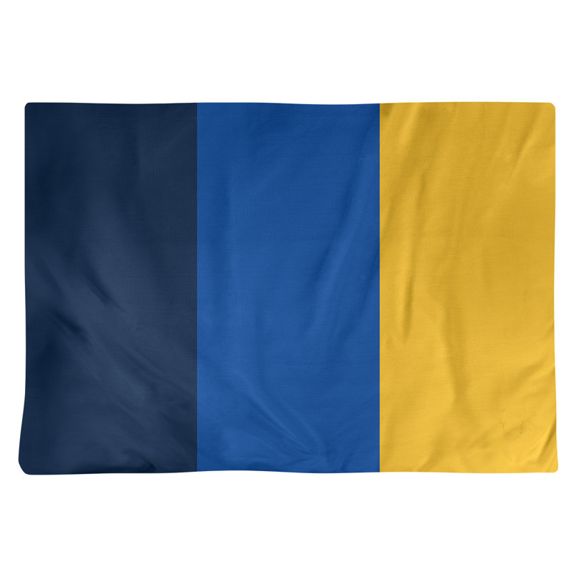 Récapitulatif 14" hockey St. Louis, Bleu marine / bleu royal / doré, Sergé de coton