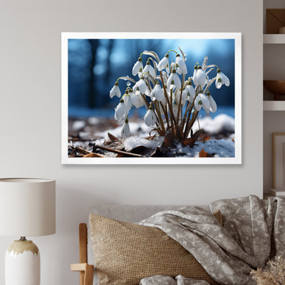 " Snowdrops Snowy Serenity I "