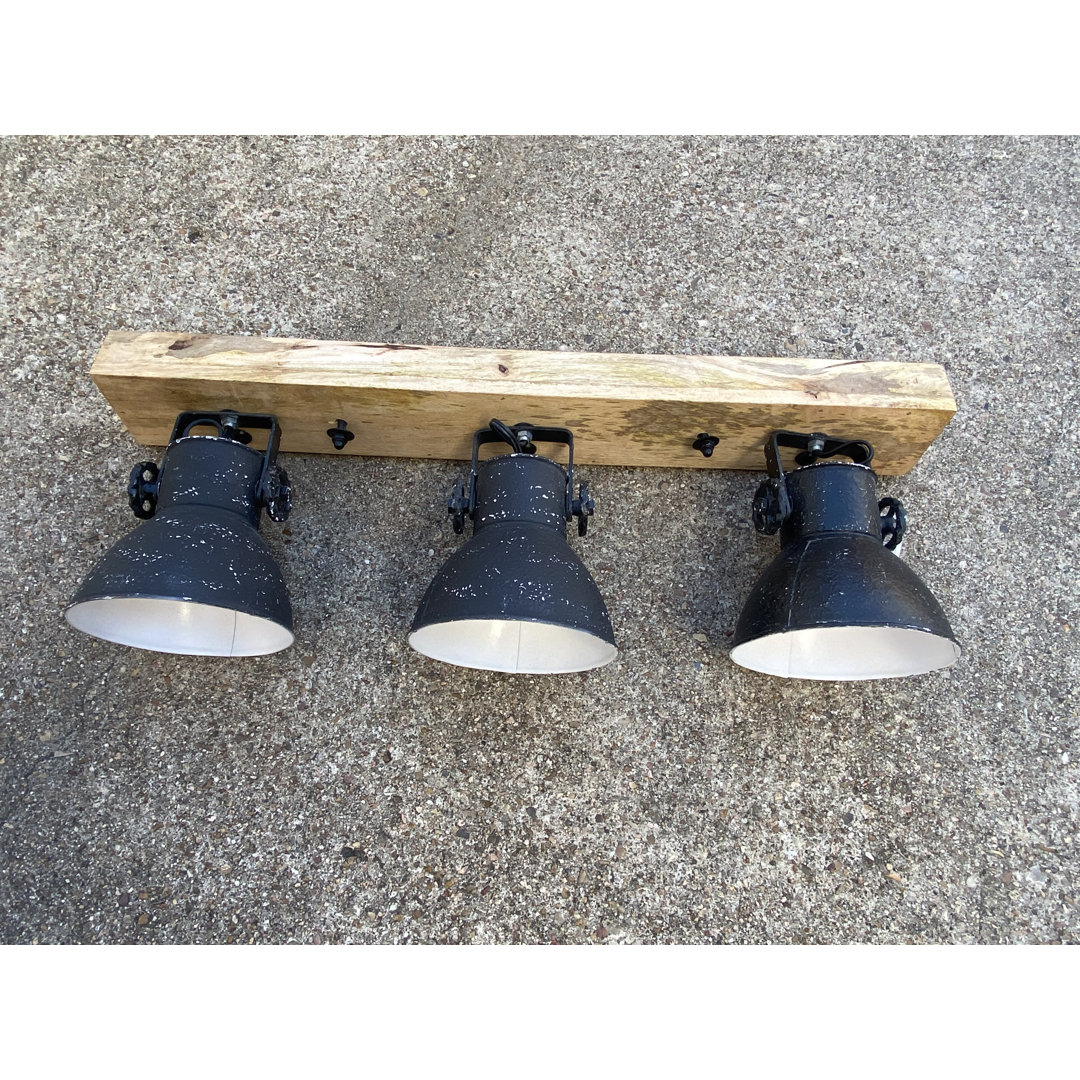 Anatasia 3-Light 25" Cluster Dome Directional & Spotlight Williston Forge 