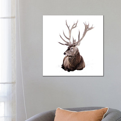 Stag In Snow II Square by Monika Strigel - Wrapped Canvas Painting