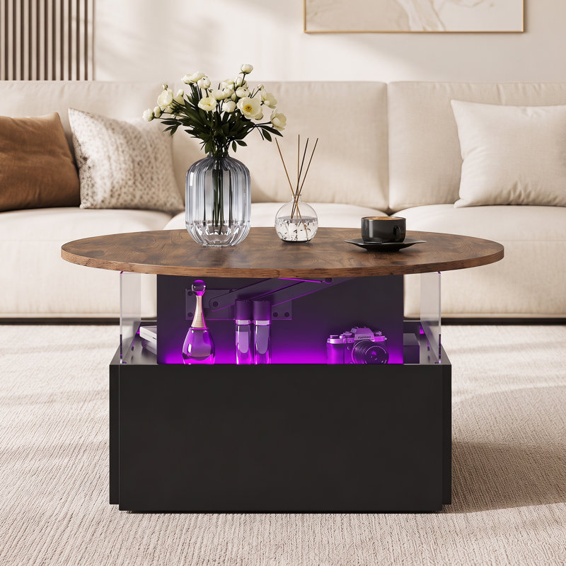 Alpena Round LED Coffee Table with 2 Drawers, Rustic Brown/Black