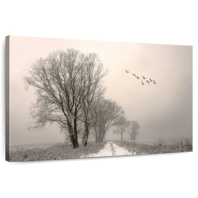 Alvord Winterlight