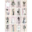 Couture Carousel-689158469