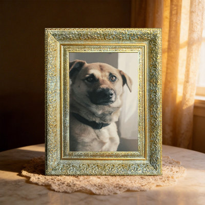 Antique Gold 1PC Ornate Picture Frame for 5" x 7" Photos and Pet Photo Display
