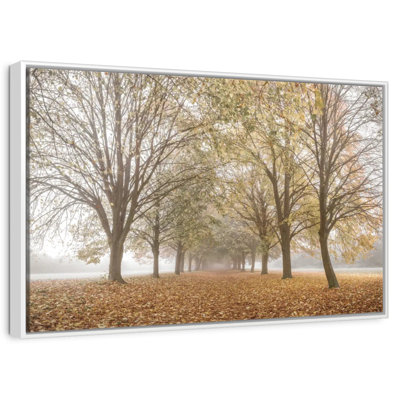 Paix d'automne