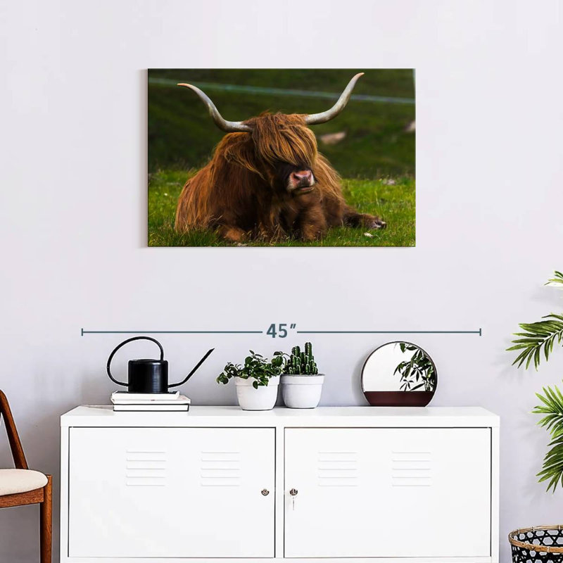 Highland Cow On Grass, 20" H x 30" W