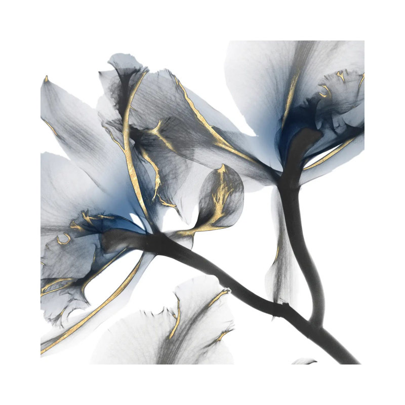Indigo Luster Cyclamen II by Albert Koetsier - Wrapped Canvas Print, No Frame, 45.72 cm H x 45.72 cm W x 1.91 cm D
