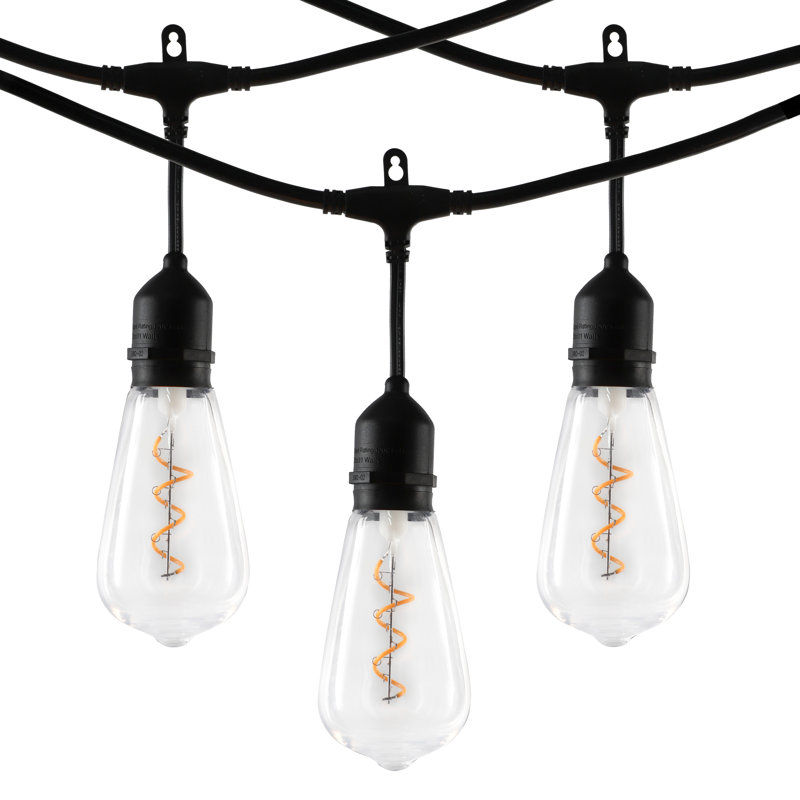 Guirlande de 20 lumières DEL Serkan givrées Edison Serkan