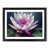 Black Framed selected