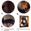 «Mafia Dog III», impression sur toile-1329319965-1329319964
