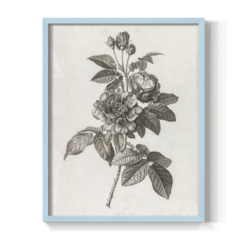 Impression florale vintage encadrée CECXVI - bois massif, Bleu, H 30 po x l 24 po