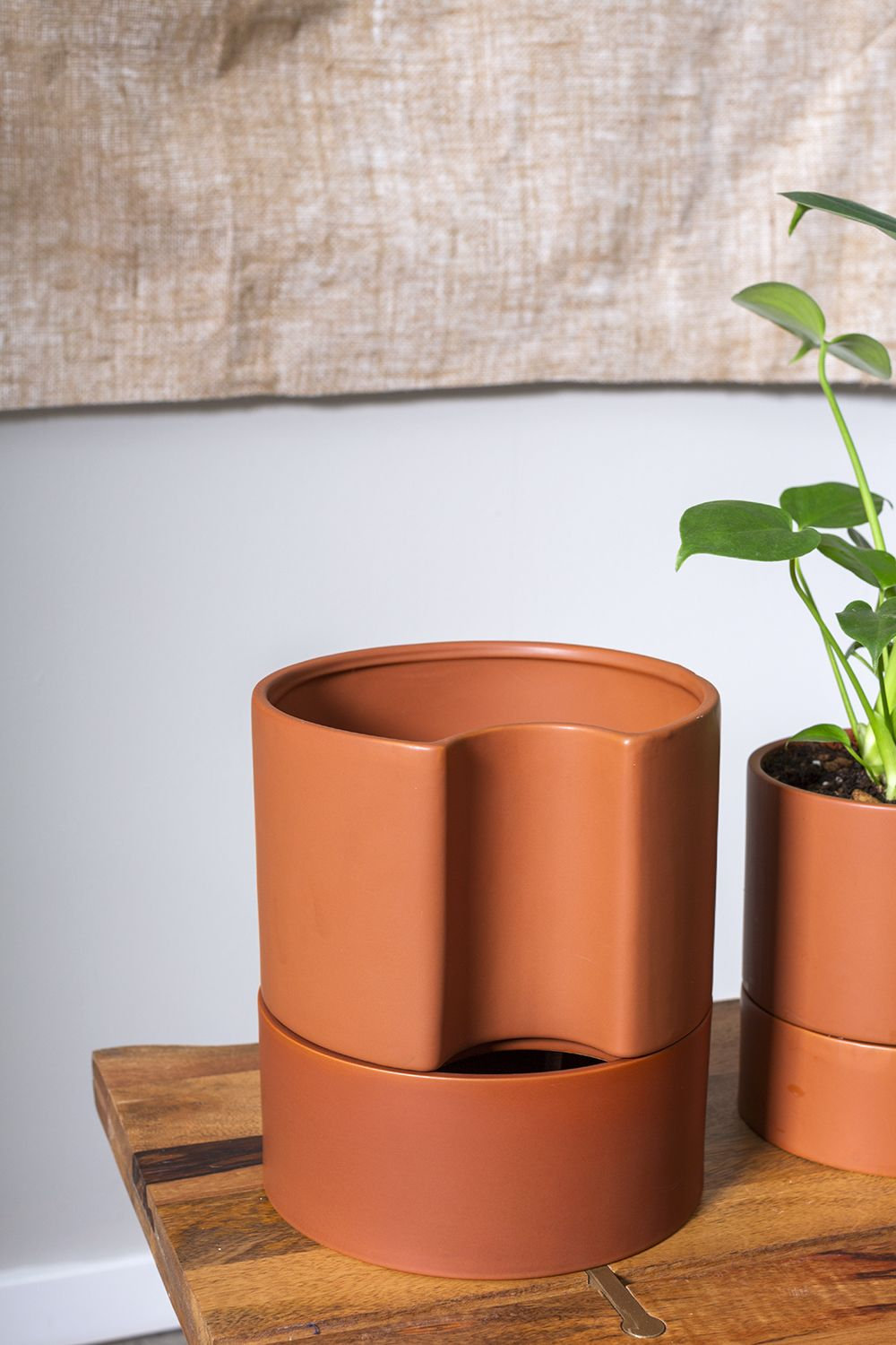 Patti Handmade Ceramic Pot Planter, 9" H x 8" W x 8" D, Terracotta