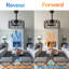 Ventilateur de plafond industriel en cage noir de 20 po avec ensemble d'éclairage et ventilateur réversible à 6 vitesses télécommandées pour la chambre à coucher du salon