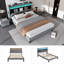 Daycia Upholstered Storage Bed
