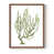 Cadre photo brun simple est en rupture de stock