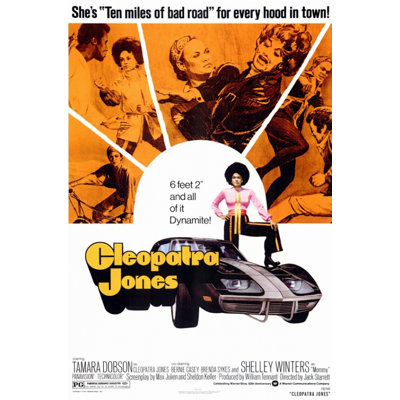 " Cleopatra Jones Movie Poster "