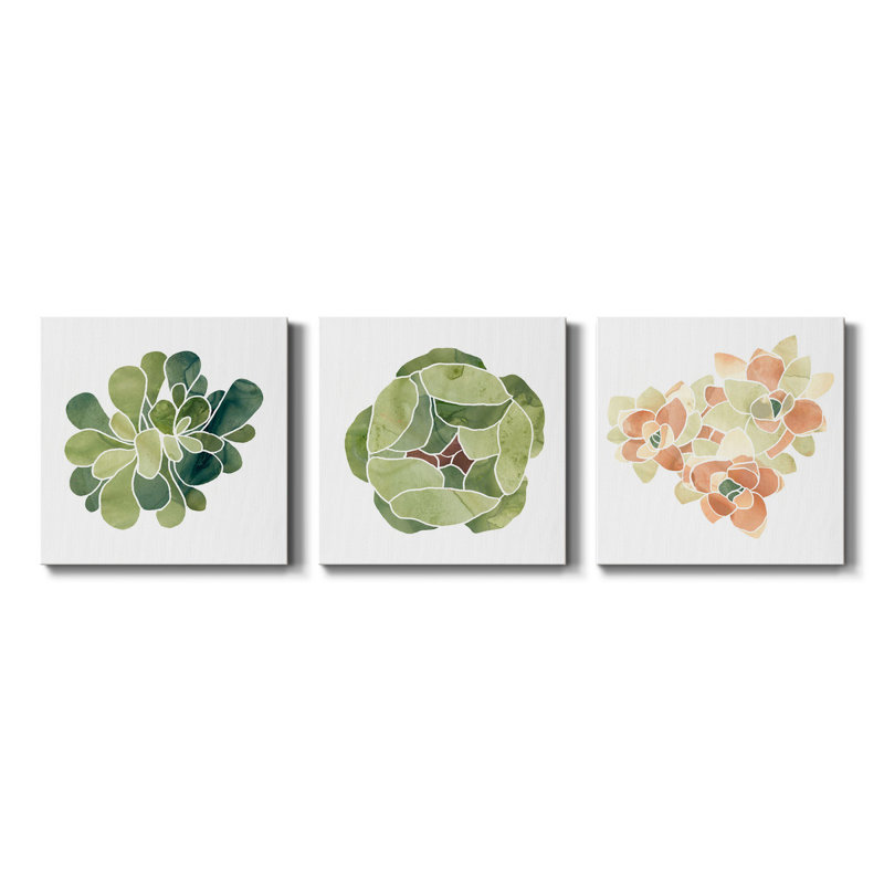 «Succulent Cameo IX», ensemble de 3 toiles tendues, H 16 po x l 48 po x P 1 po