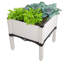 Pot à fleurs surélevé en plastique Aeliana-1053421043-1053421041