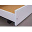 Sanah Kids Standard with Trundle-1703968450