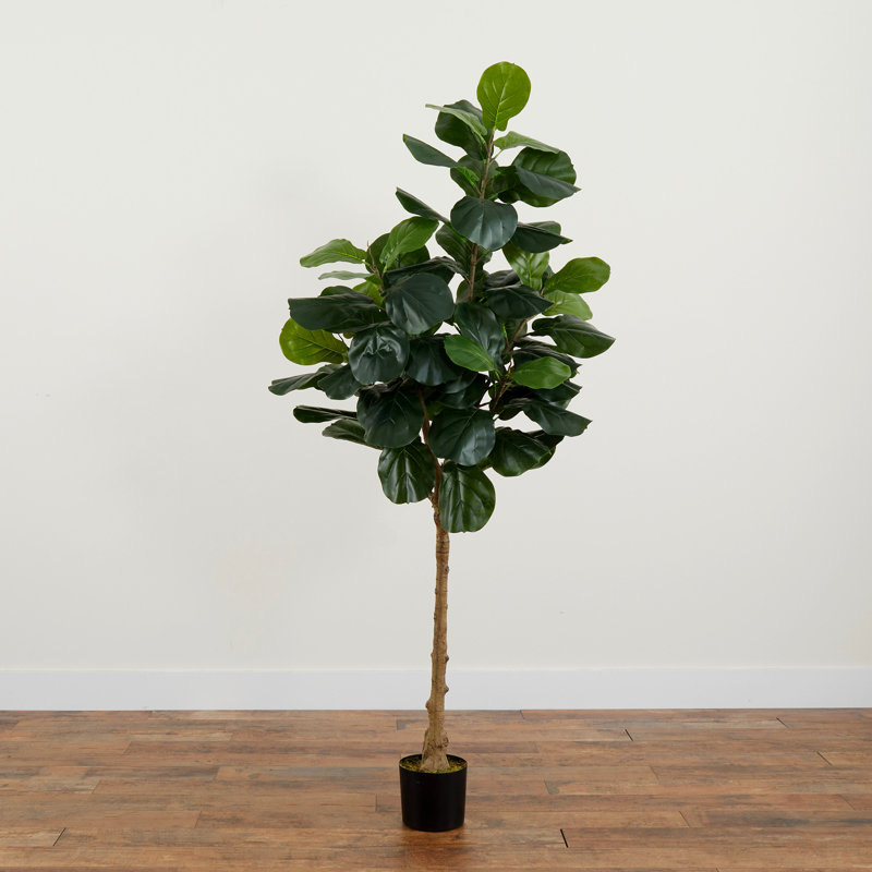 Weir 72'' Faux Fiddle Leaf Fig Tree in Pot