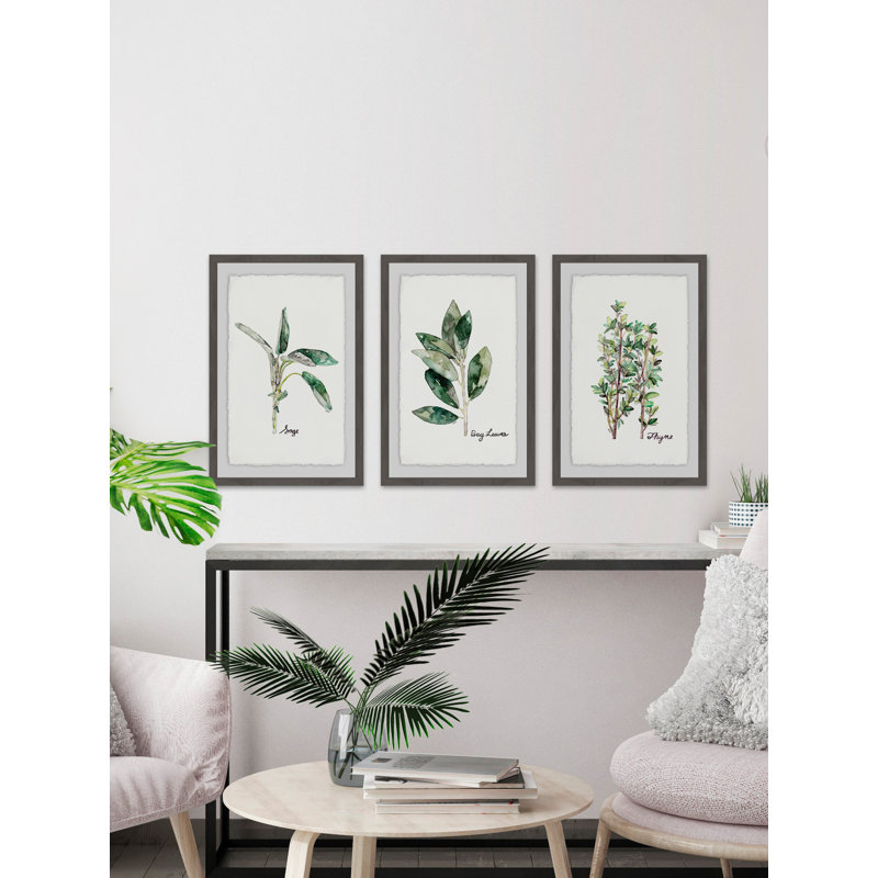 " Herb Trio Triptych " by Rachel Byler 3 - Pieces, 36" H x 24" W