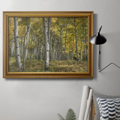 " Aspen Grove II " Painting Print