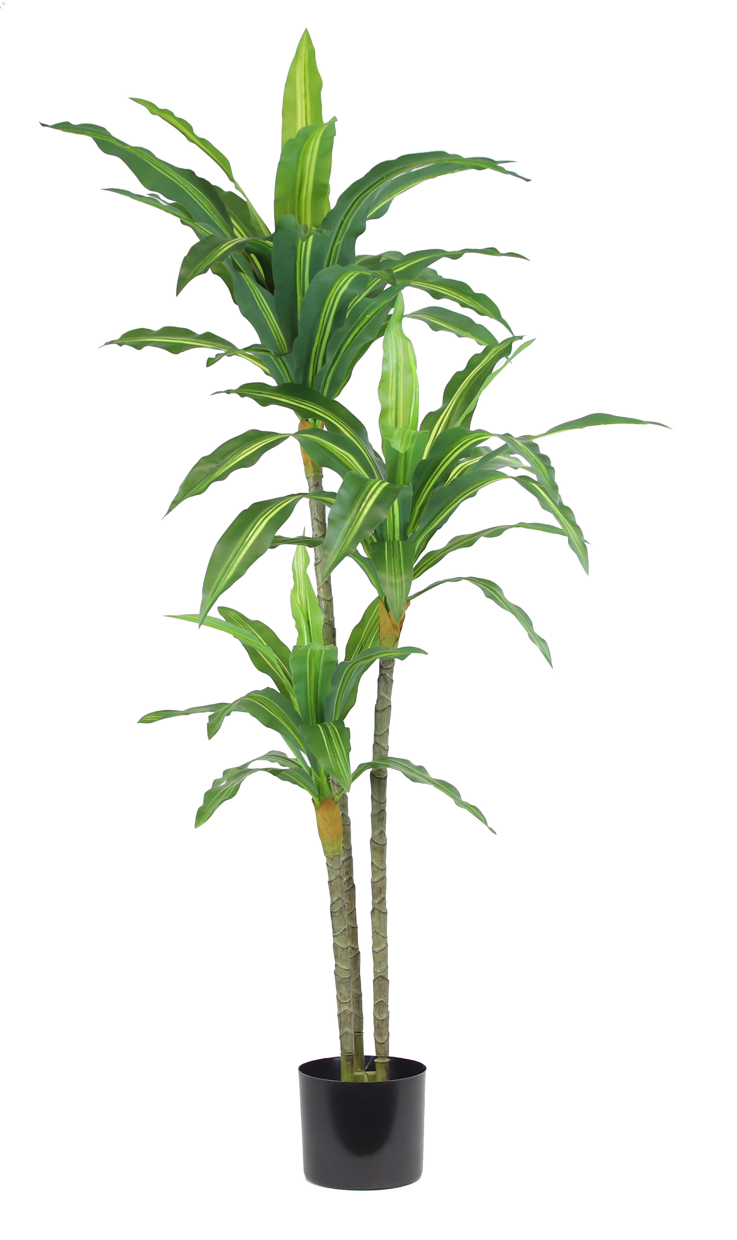 Primrue 48'' Faux Dracaena Plant in Planter & Reviews