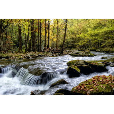 Over Flow I by Danny Head - Wrapped Canvas Art Prints